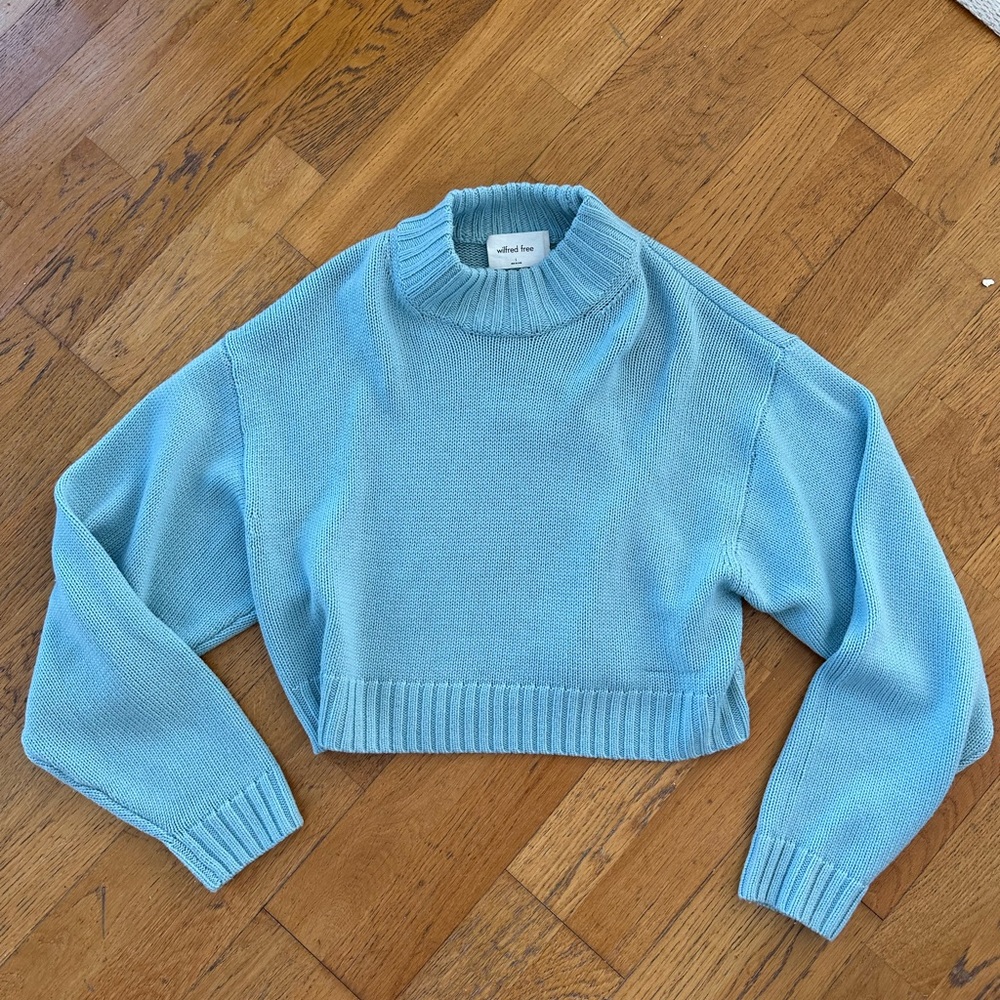Wilfred free aritzia sweater